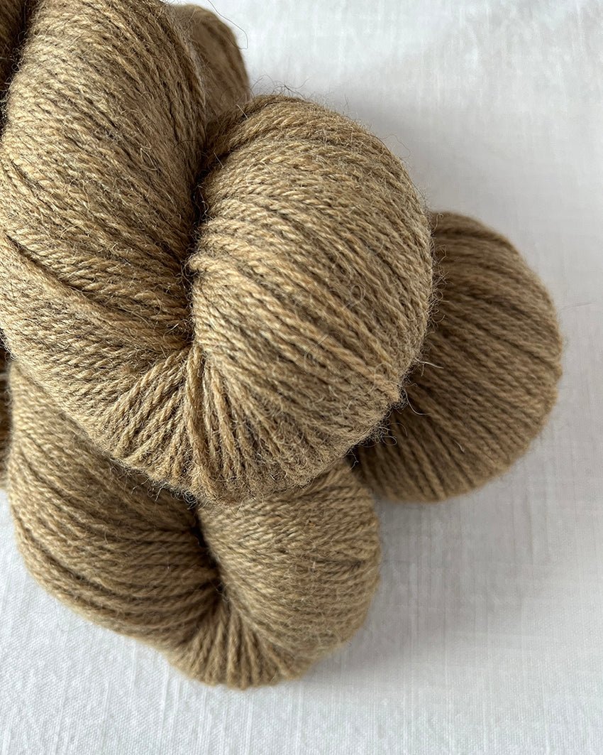 'Biscuit' BFL/Shetland/Alpaca Blend DK - Ginger Pink Yarns