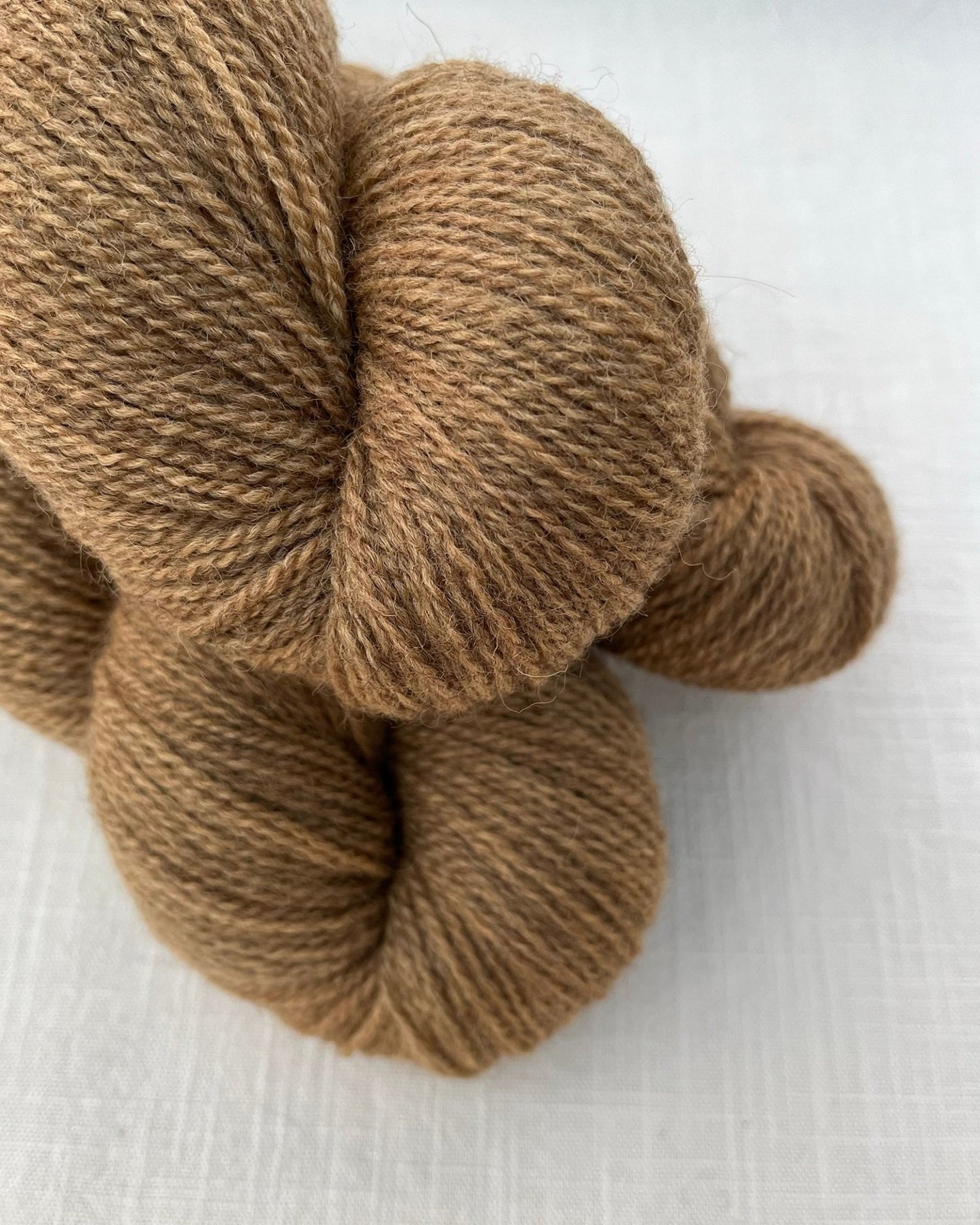 NEW 'Cinnamon' Masham/BFL 4ply - Ginger Pink Yarns