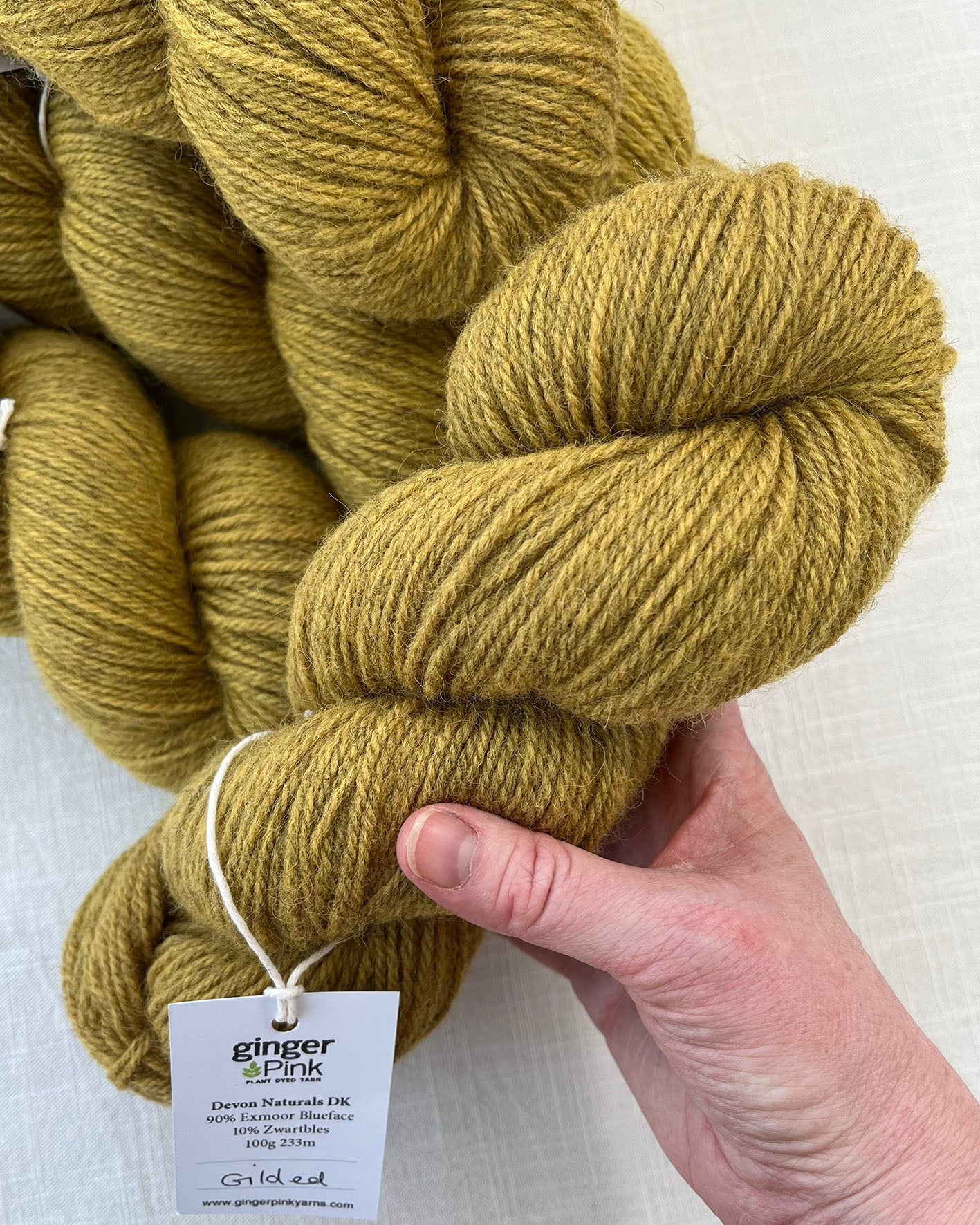 Skeins of soft golden yellow toned sustainable British DK wool naturally dyed with plants for knitting