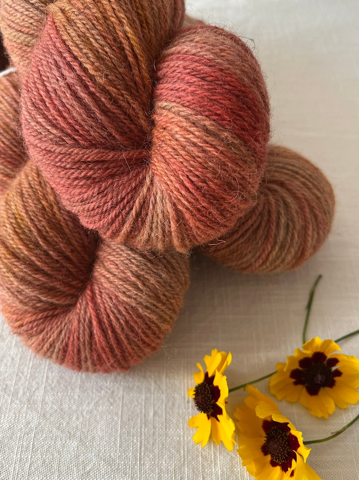 NEW 'Golden Hour' Exmoor Blueface/Zwartbles DK - Ginger Pink Yarns