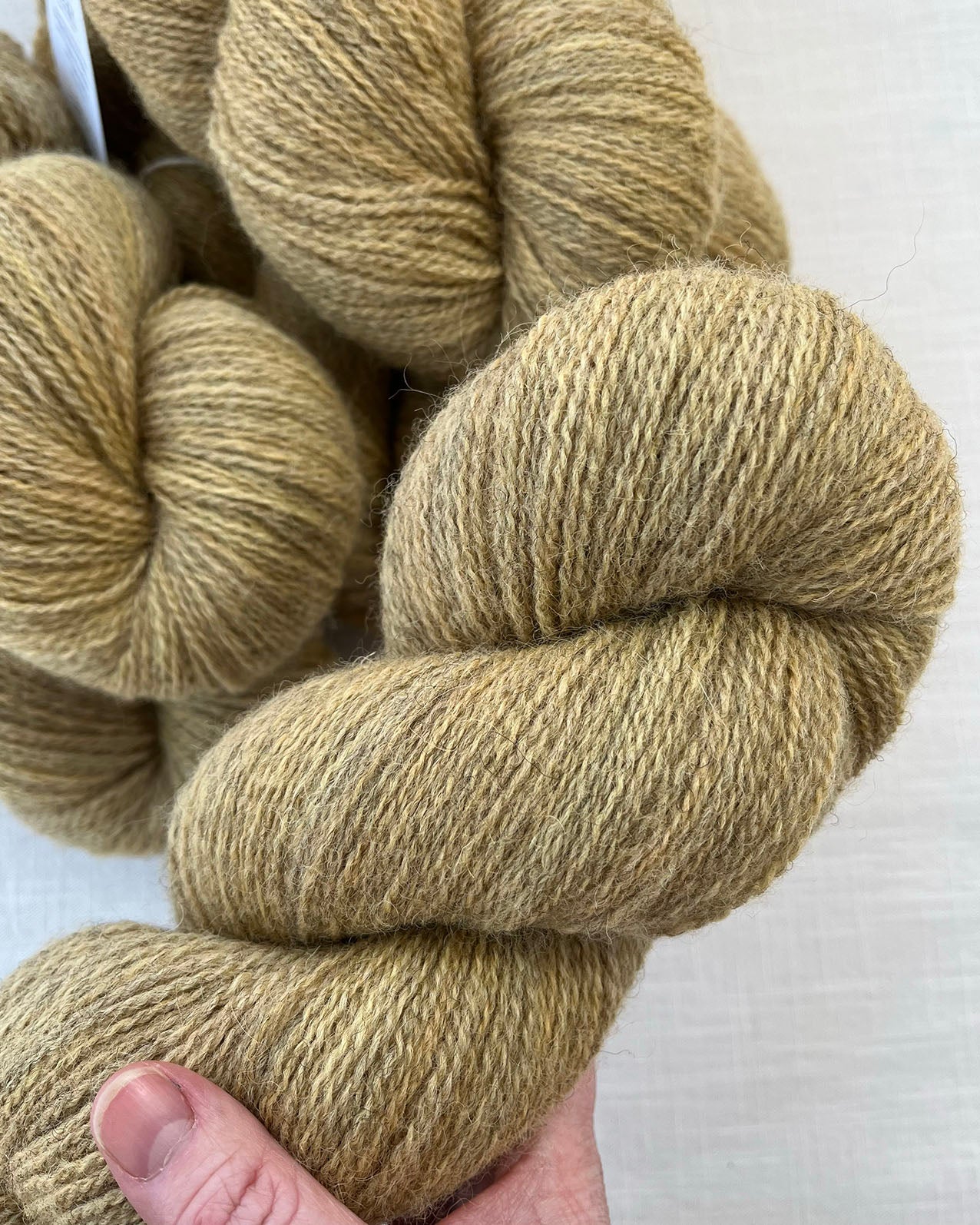 Skeins of soft honey toned sustainable British 4ply wool naturally dyed with plants