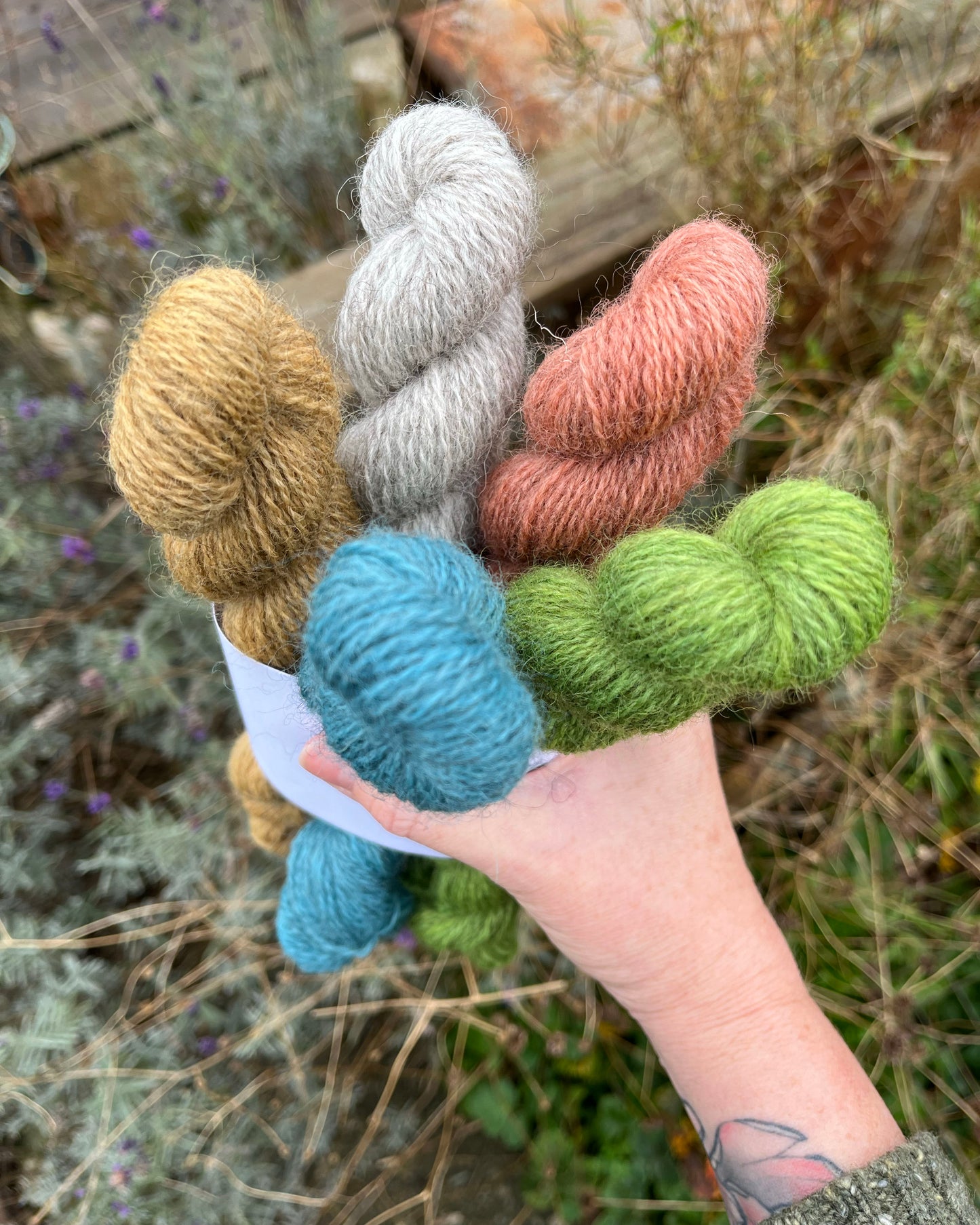 Cove Mini Bundle Set - Devon Naturals 4ply