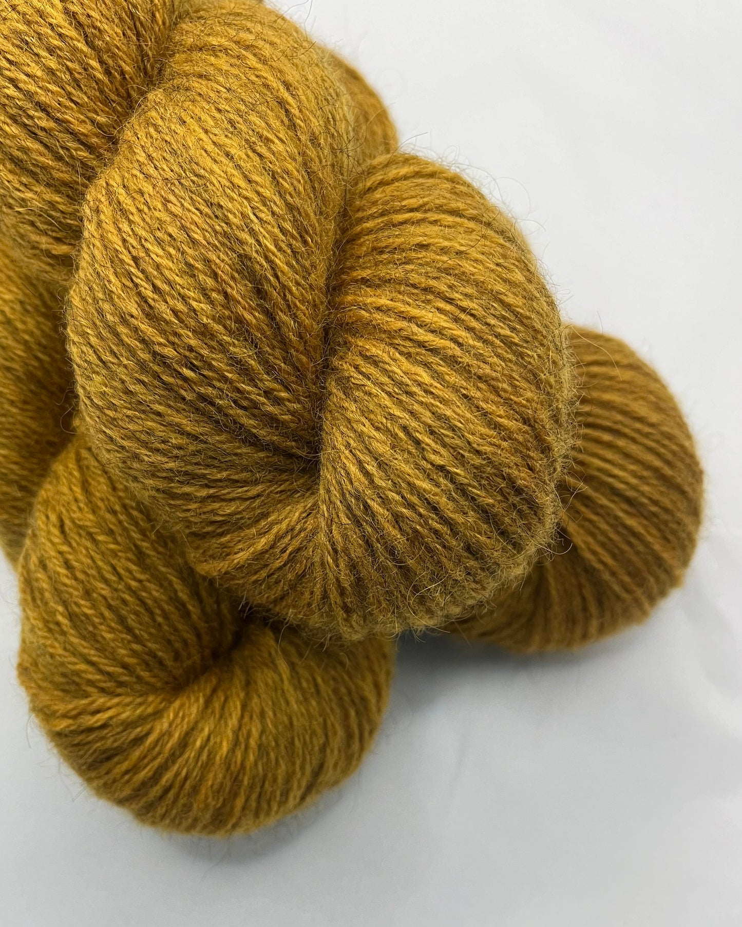 BFL/Gotland Cutch DK