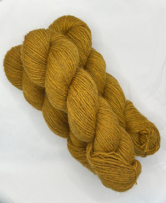 BFL/Gotland Cutch DK