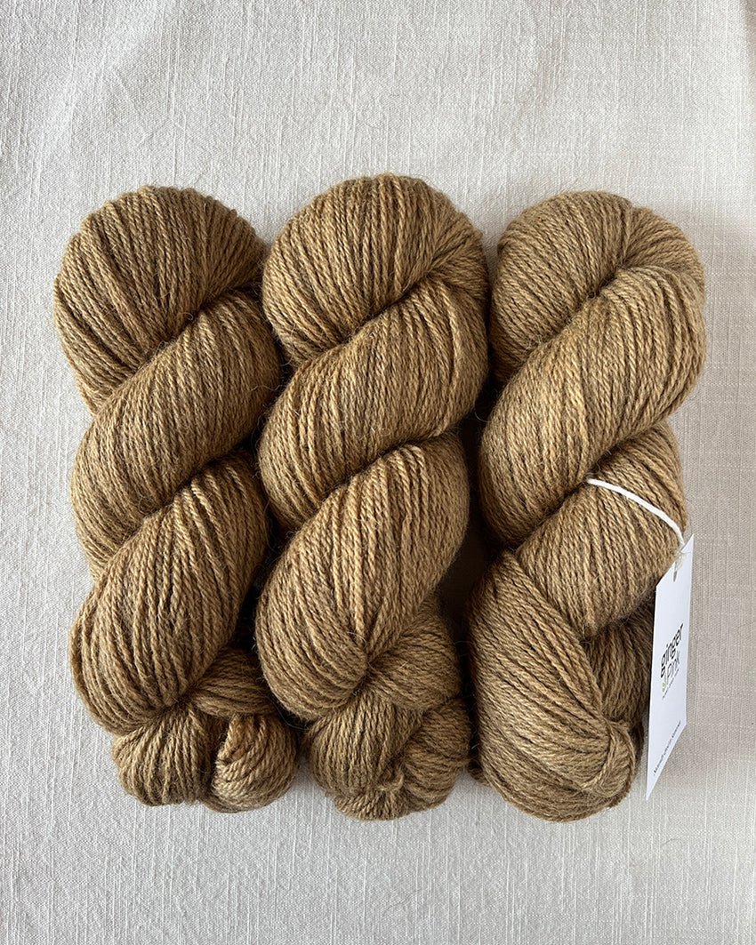 'Biscuit' BFL/Shetland/Alpaca Blend DK - Ginger Pink Yarns