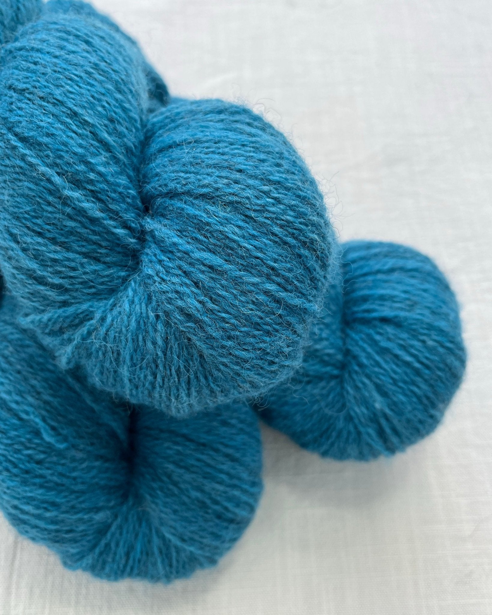 'Electric' Exmoor Blueface/Zwartbles 4ply - Ginger Pink Yarns
