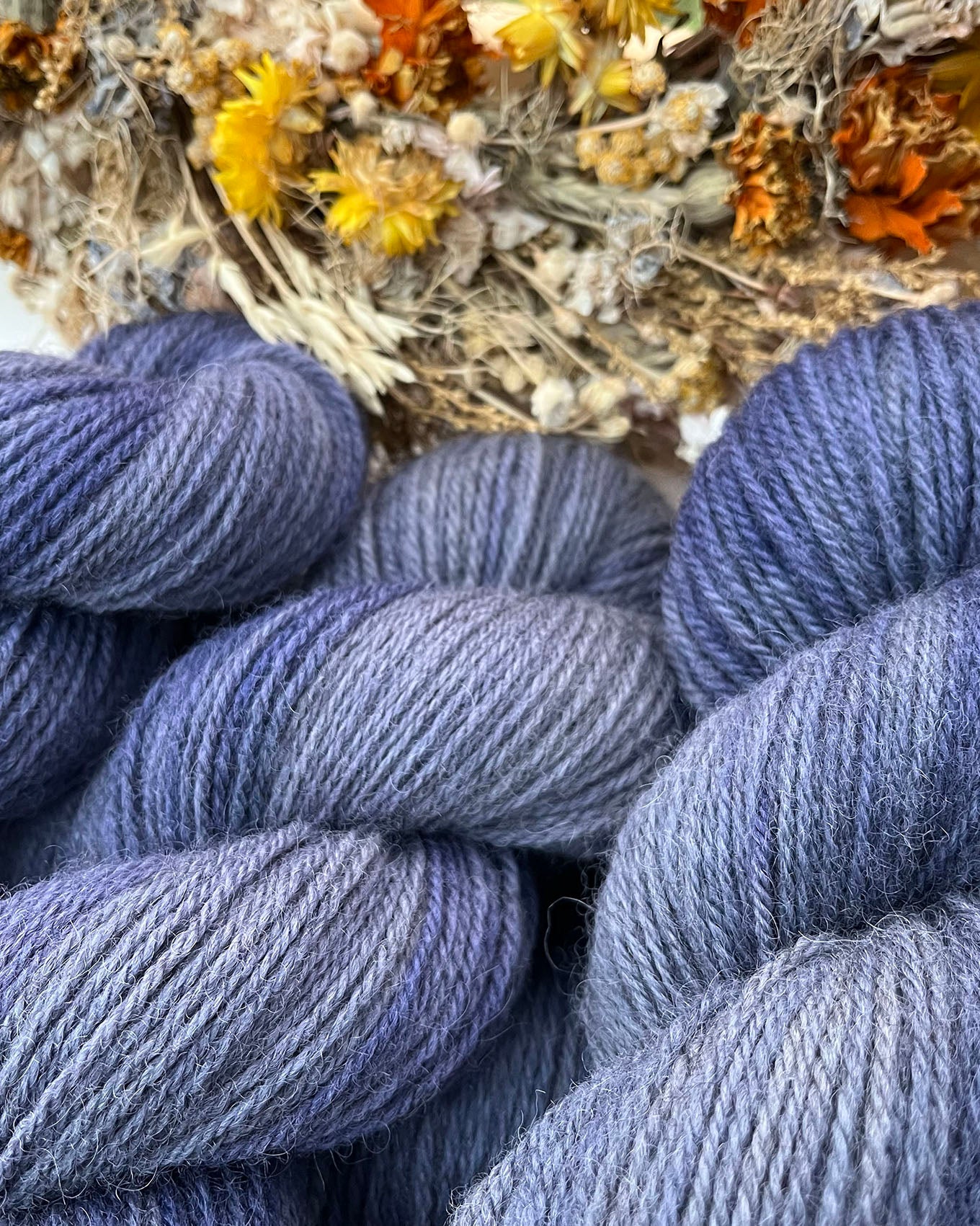 Exmoor Blueface/Zwartbles DK Periwinkle - Ginger Pink Yarns