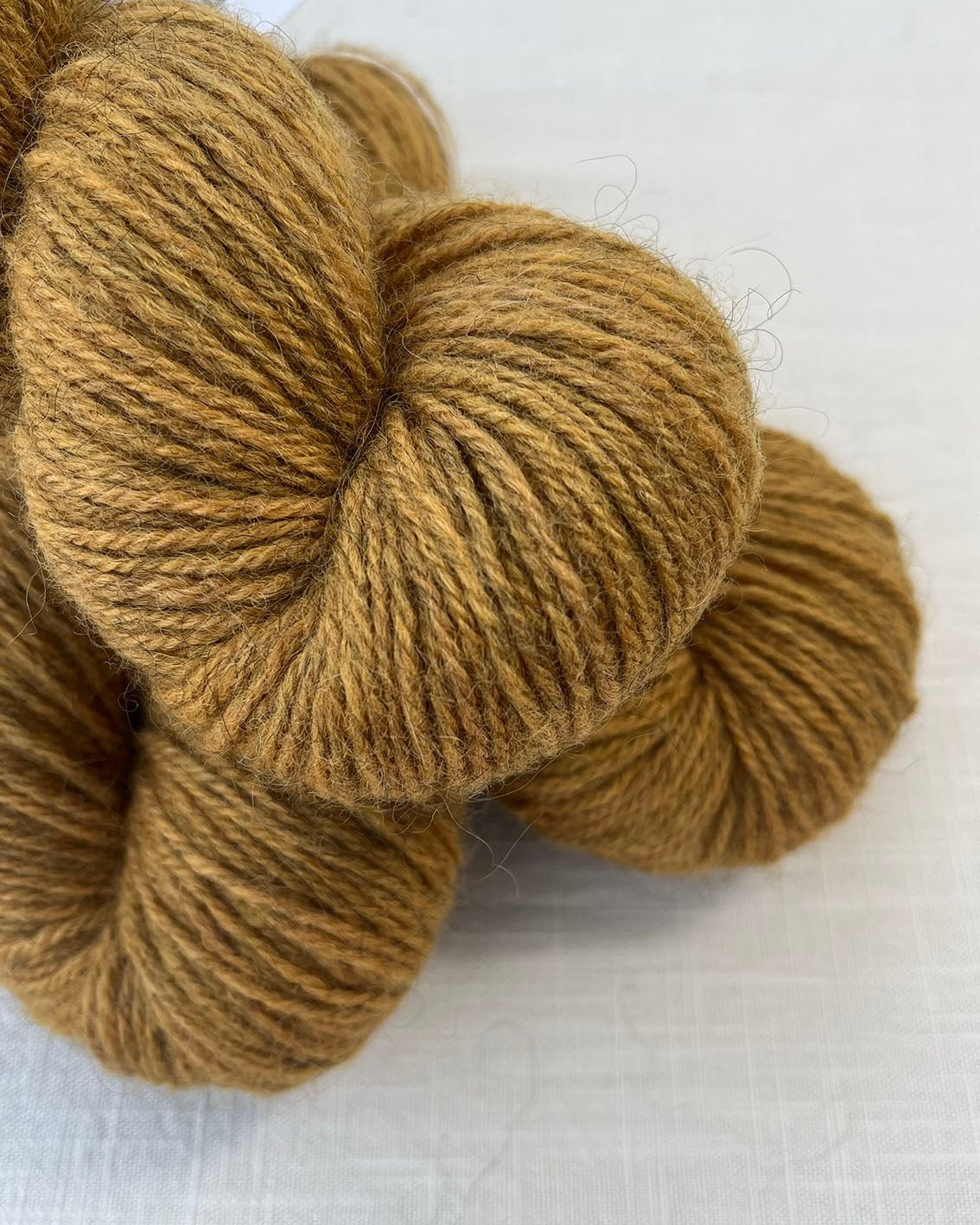 'Ginger' Gotland/BFL DK - Ginger Pink Yarns