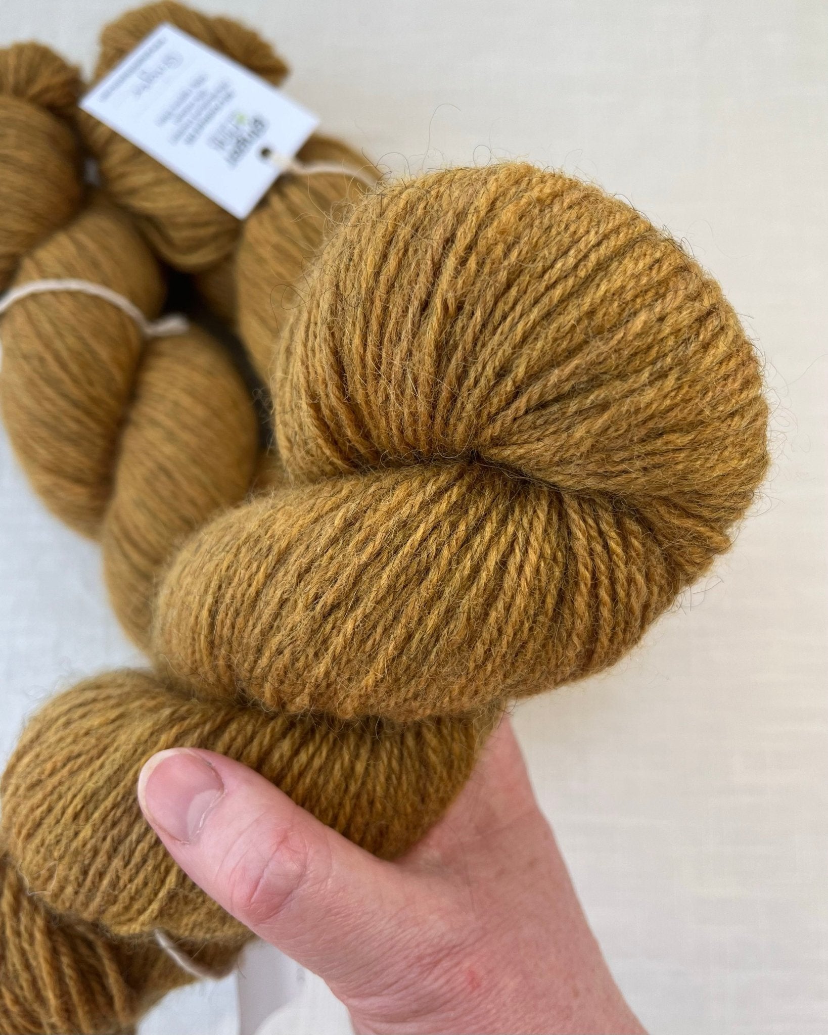 'Ginger' Gotland/BFL DK - Ginger Pink Yarns