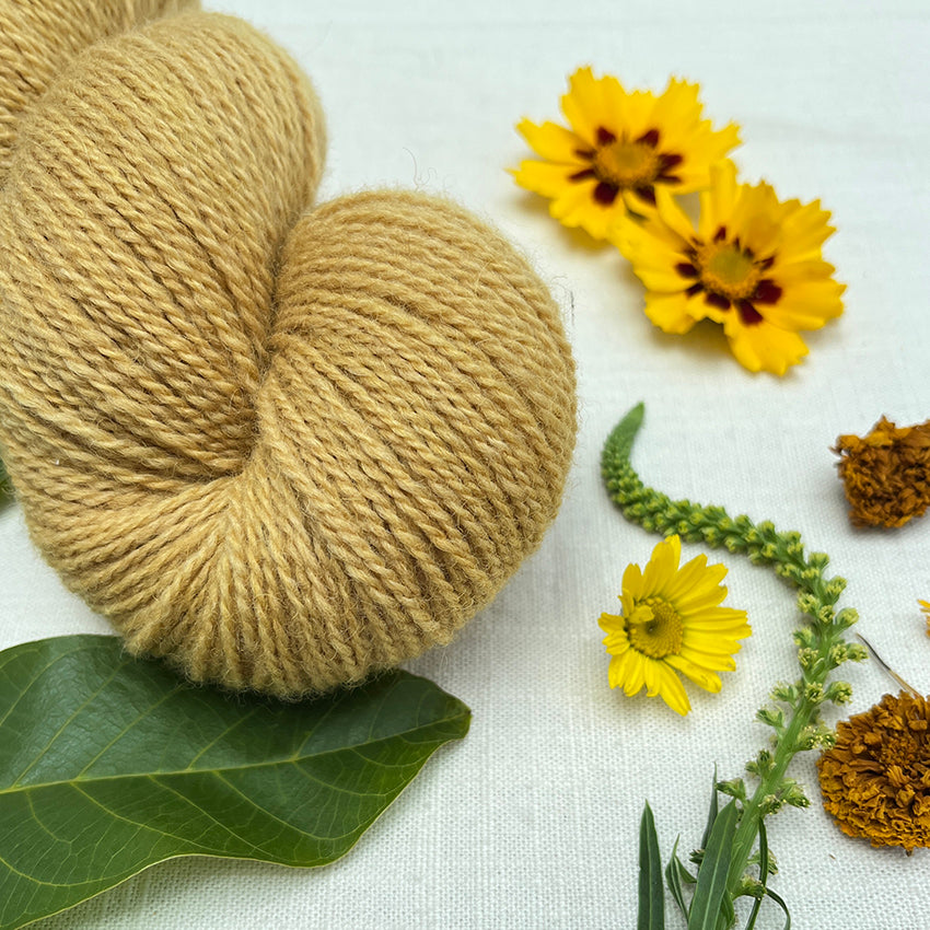 Litha Mini Skein Set