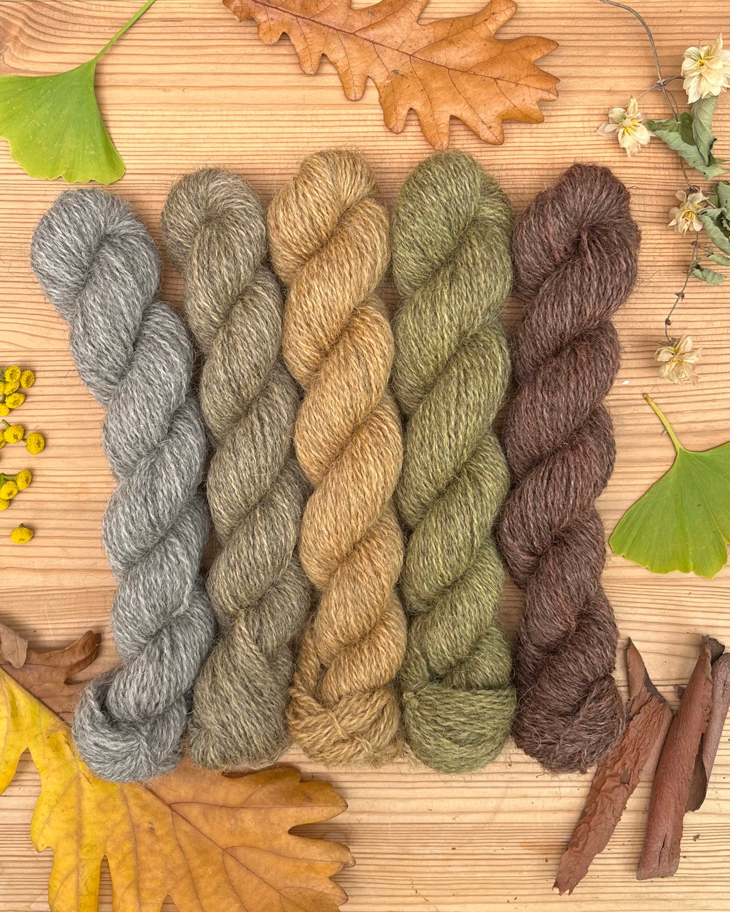 Hinterland Mini Bundle Set - Devon Naturals 4ply