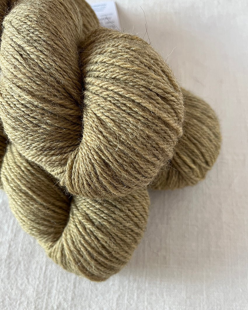 'Honey' BFL/Shetland/Alpaca Blend DK - Ginger Pink Yarns
