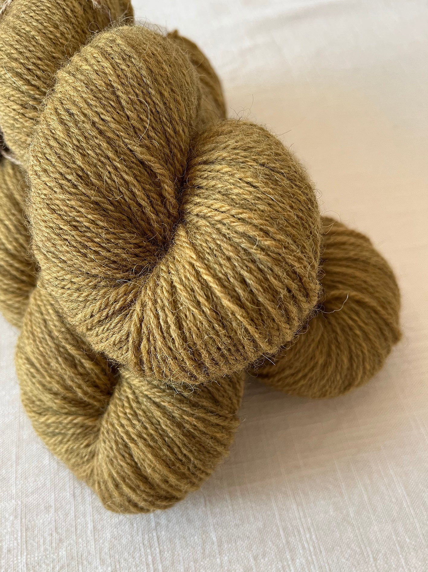 NEW 'Old Gold' BFL/Shetland/Alpaca Blend DK - Ginger Pink Yarns