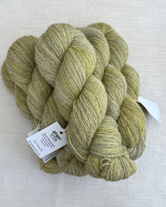 Skeins of soft green and yellow toned sustainable British 4ply wool naturally dyed with plants for knitting