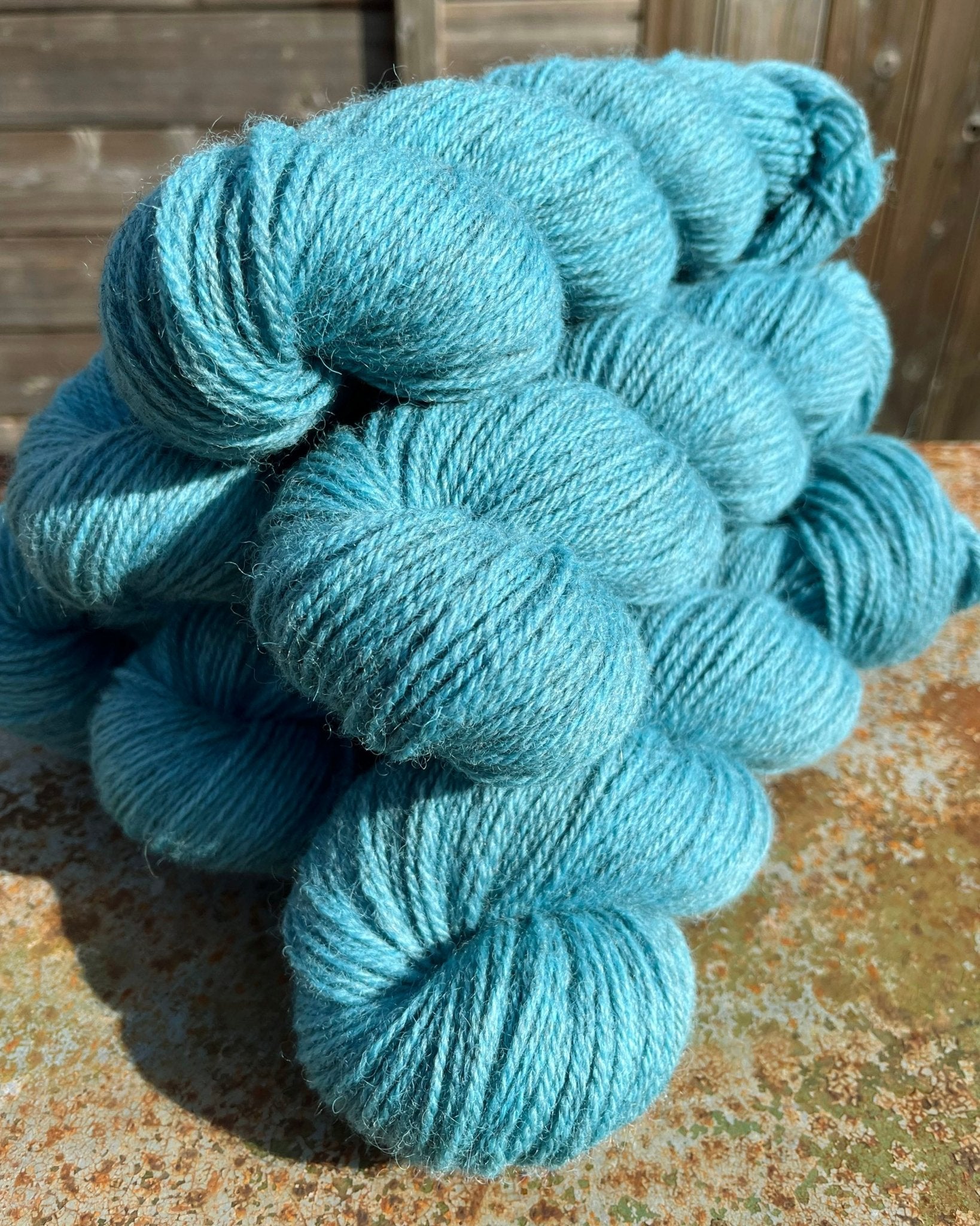 'Pacific' Exmoor Blueface/Zwartbles DK - Ginger Pink Yarns