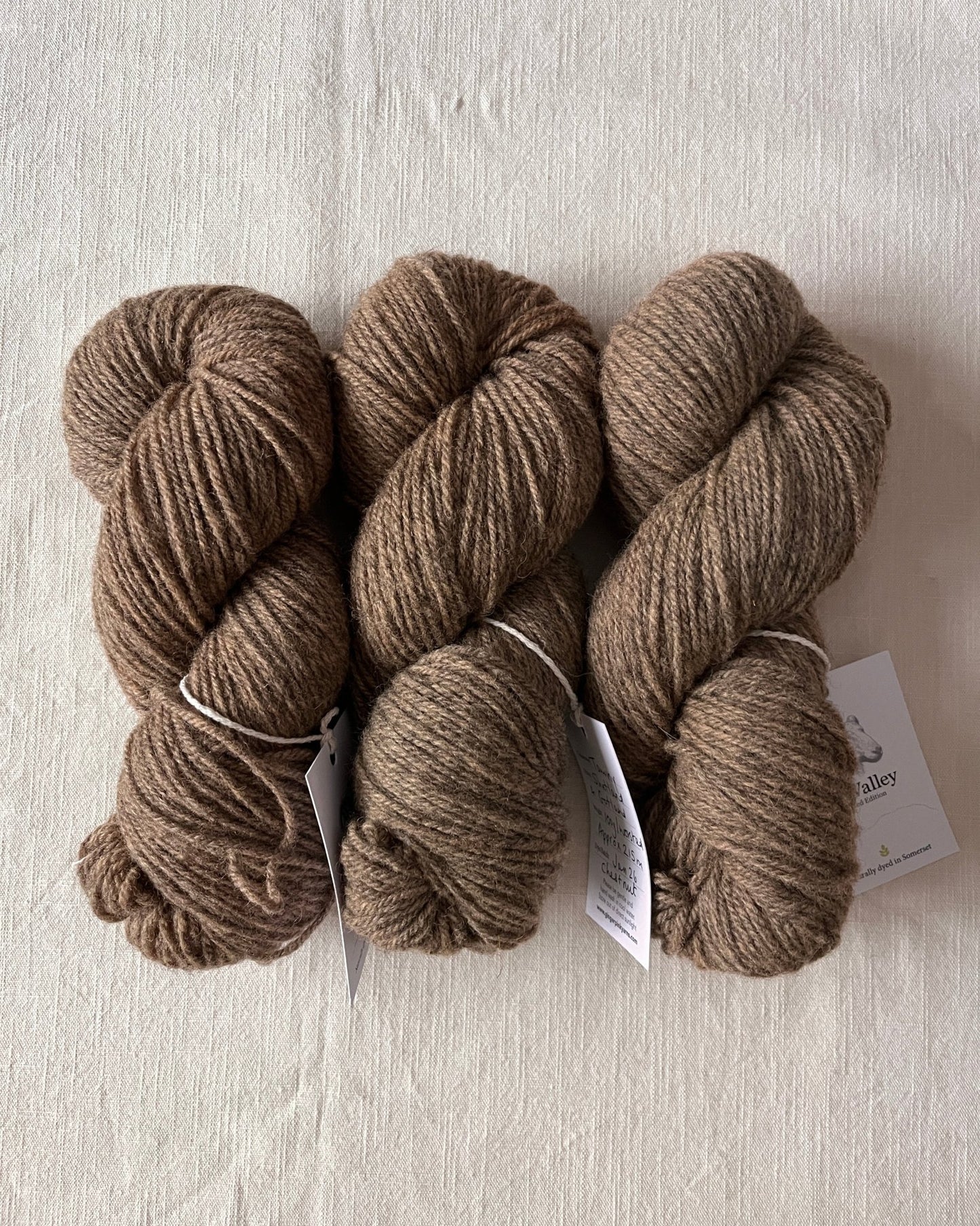 Taw Valley * LIMITED EDITION* Tawny - Ginger Pink Yarns