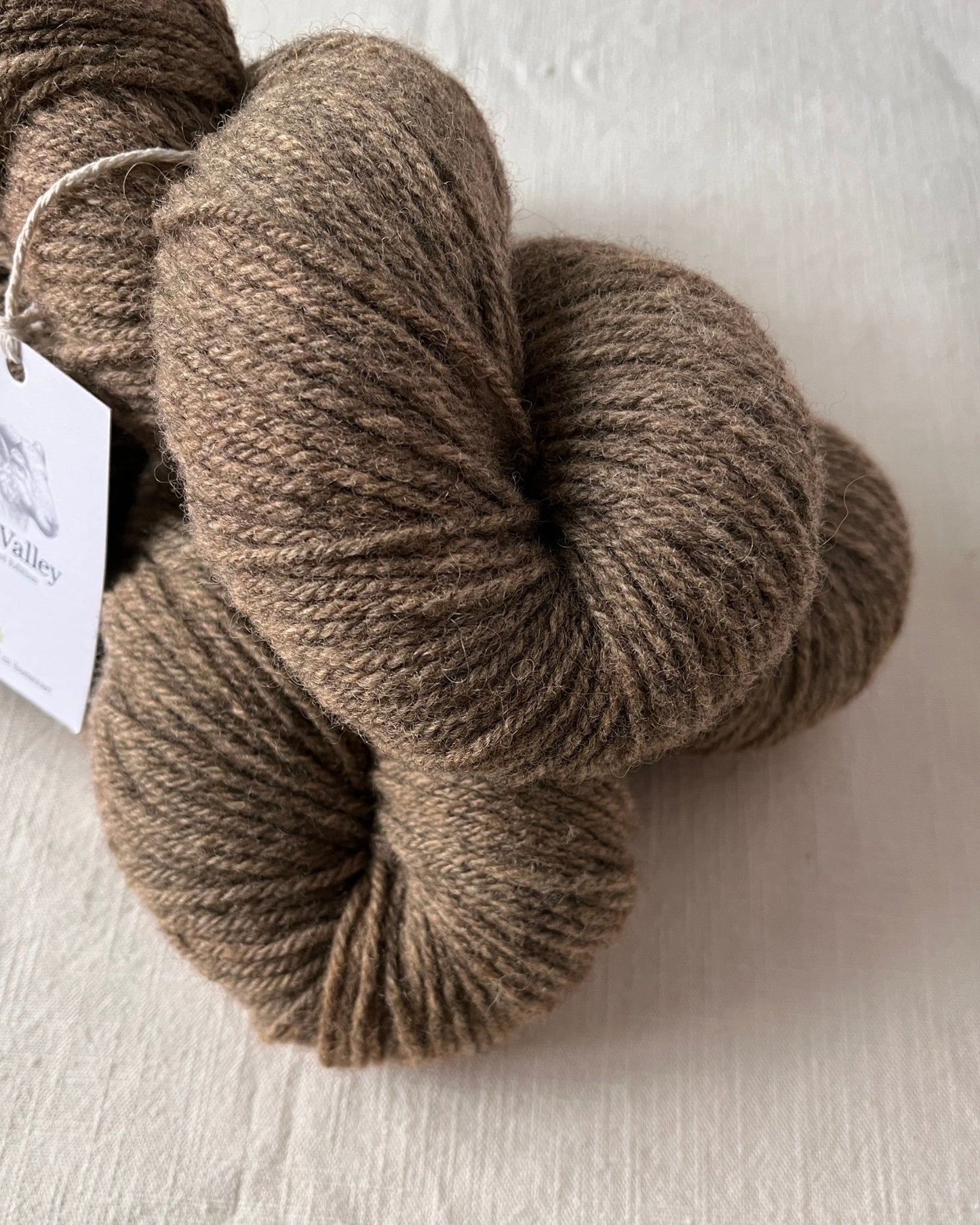 Taw Valley * LIMITED EDITION* Tawny - Ginger Pink Yarns